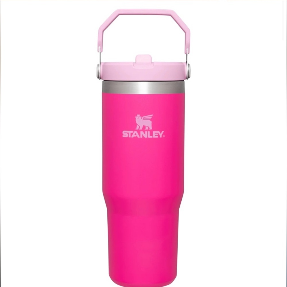 🎀30 oz STANLEY CUP in Camelia Hot Pink🎀